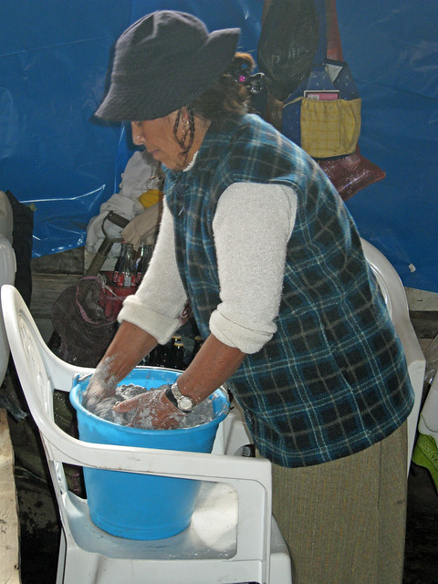 bouiboui dans la reseve des Monarcas, Michoacan fev 2009