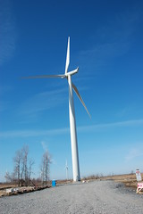 Wolfe Island wind farm