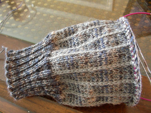 plaid sock