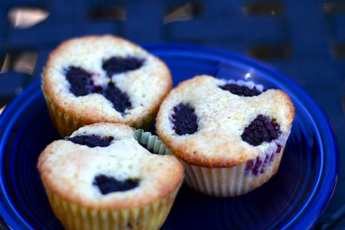 Blackberry Cornmeal Muffcakes