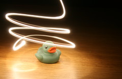 61/365.2 Duck by torchlight