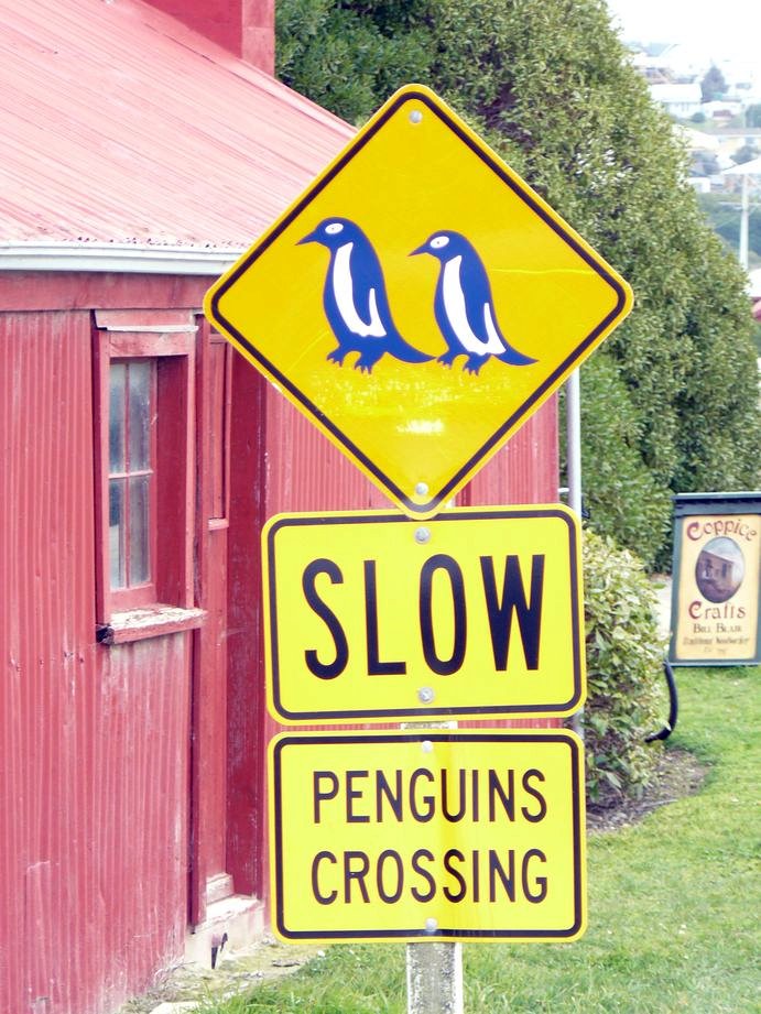 Panneau pingouin Nouvelle Zelande