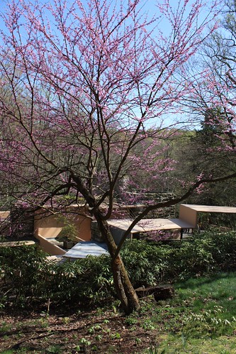 Outside Fallingwater's Guesthouse