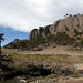 Paesaggio di araucarie e formazioni rocciose dal Pino Hachado