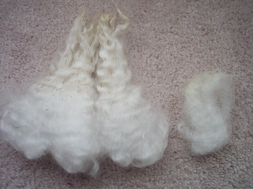 Cotswold (left), Columbia (right) fibres