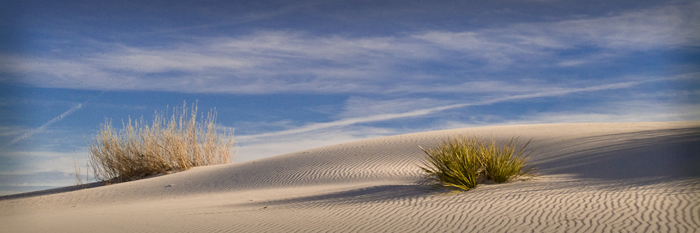 White Sands National Monument - Dunes