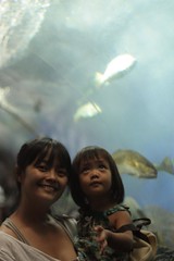 in the aquarium's tunnel