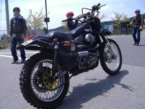 Off-road Sportster 01
