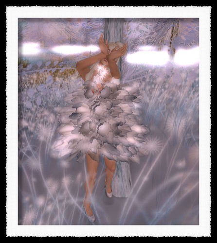 *SoliDea FoliEs* Winter Seasons Collection