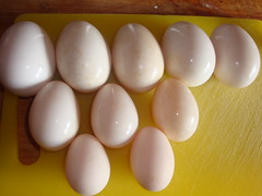 Goose eggs, duck eggs, chicken eggs