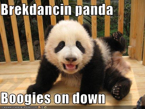 breakdancing_panda