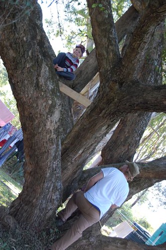 working on the tree house