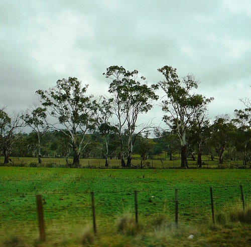 5 of 12: Rainy Landscape out the car window