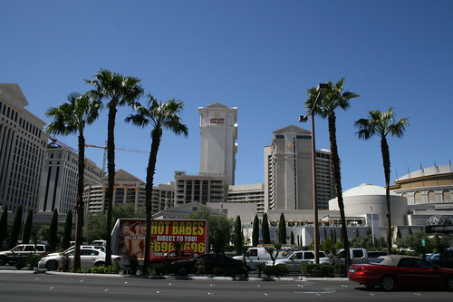 Hotel And Palm Trees