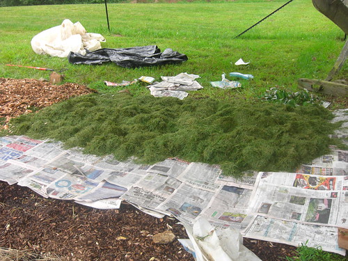 Grass layer for making garden beds