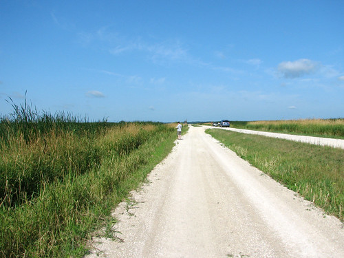 View of Dike Road
