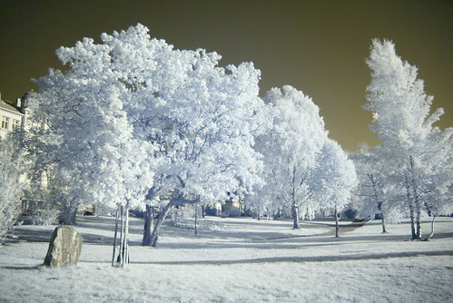 Same view in infrared light