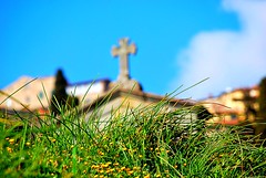 cimitero, santa Maria del calcinaio, Cortona