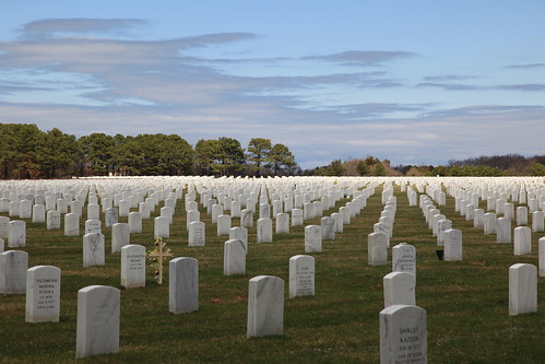 Calverton National Cemetery. Calverton National Cemetery, Part 15. In my opinion, this is a great shot that I took and I do love this one.