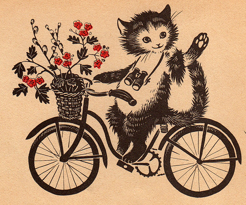 Cat riding bike by rosiesnumberoneboy.