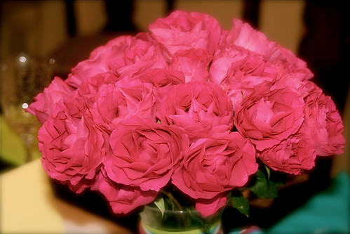 These Roses were Irresistable
