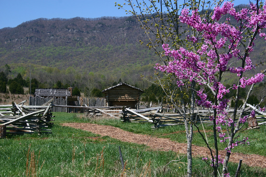 Spring at Wilderness Road State Park