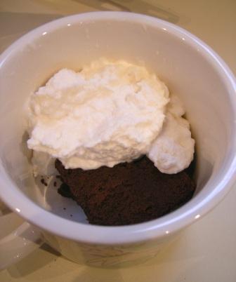 Feb 2009 Daring Baker Challenge: Chocolate Valentino Cake and Snow Ice Cream