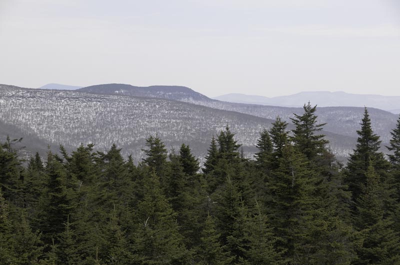 View East from Balsam Mountain Tower