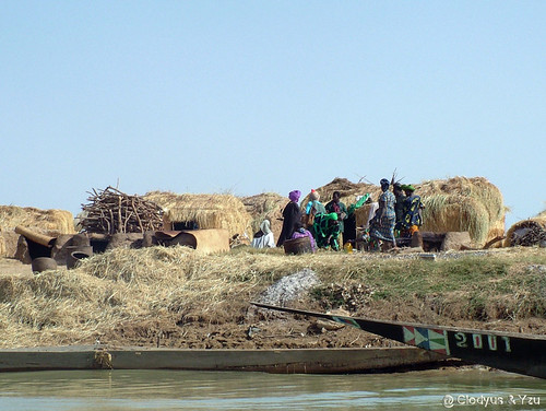 Fleuve Niger, Habitat -07