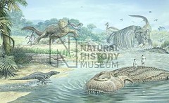 sebecus el terrestre, purussaurus nadando, y otros, creo que de Sibbick, perdón si no es de él
