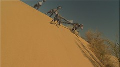 bajando de la duna