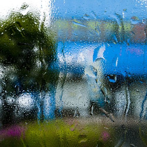 Wet Bus Window