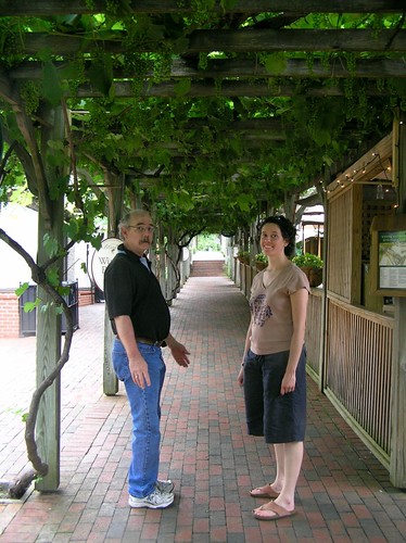 walking up to the winery (those are a bunch of unripe grapes on that arbor! it was spectacular!)