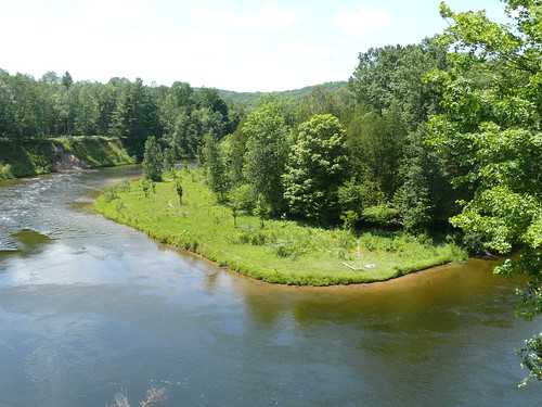 Manistee River in the Manistee National Forest