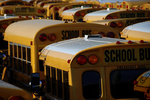 School Buses2
