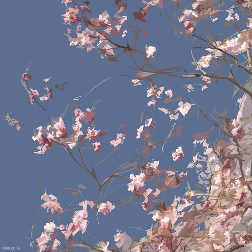 ipad wallpaper stars. ipad wallpaper: Cherry Blossom