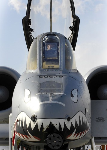 Airplane picture - A-10 Thunderbolt