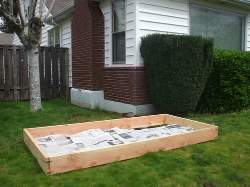 raised bed with newspapers