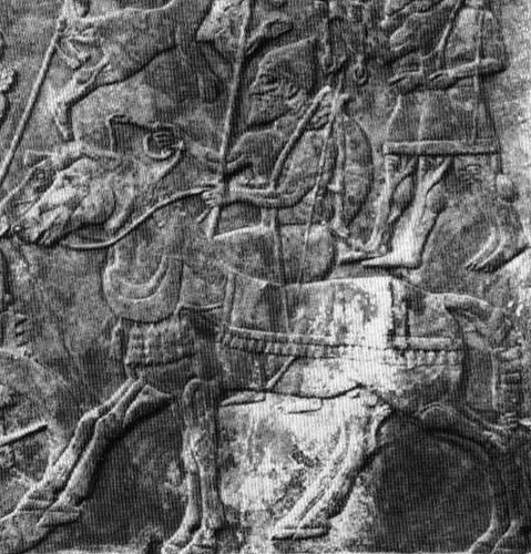 assyrian horsearcher