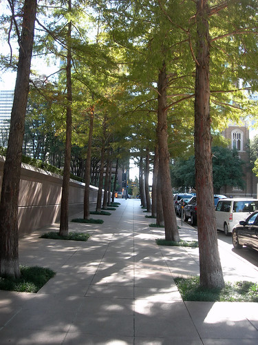 A sidewalk in Downtown Dallas' Arts District.
