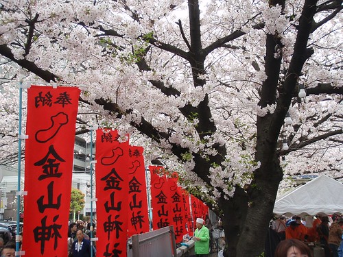 Sakura no chinchin