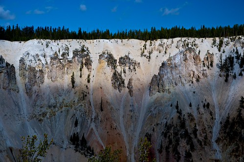 Yellowstone, the edge of treelined cliff