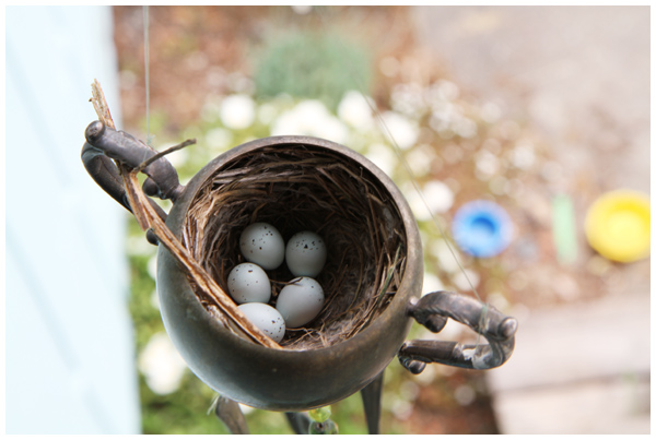 Bird eggs in the nest in our wind chimes
