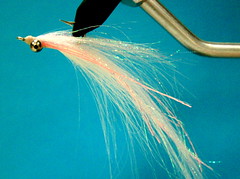DNA Rockfish clousers
