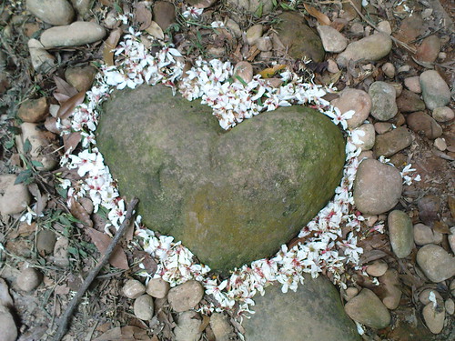 心型的石頭