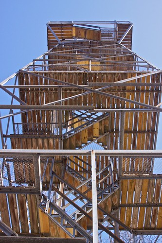 Forest Glen observation tower