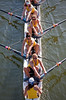 Redwood Shores Rowing Classic