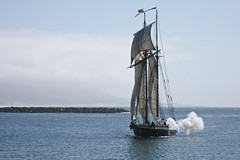 The sailing ship Lynx, firing cannons, enters Morro Bay 02 April 2009.