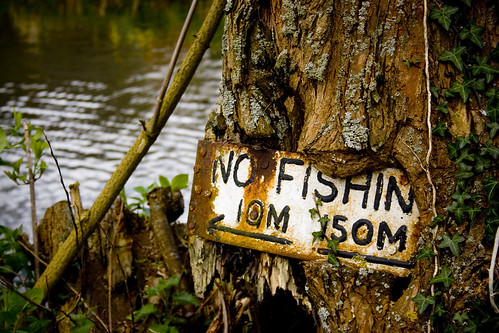 No Fishin