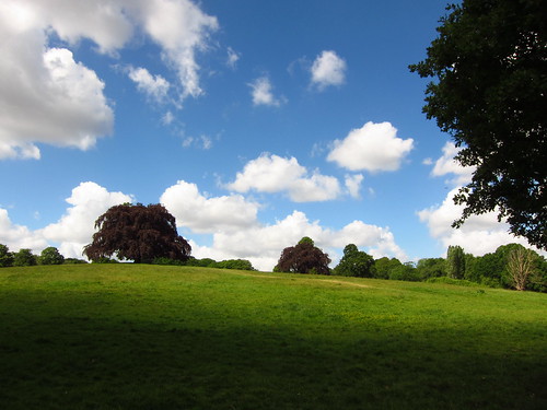 The South Meadow, Hampstead Heath